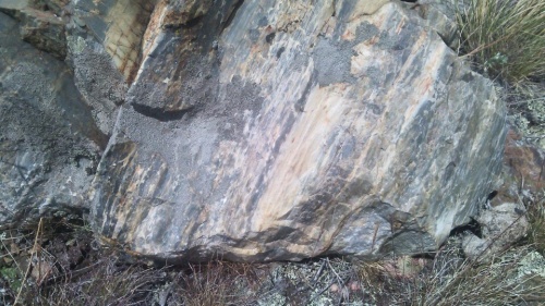 Гигантские зелёные валуны для ландшафтного дизайна весом более 5 тонн купить в Новосибирской области